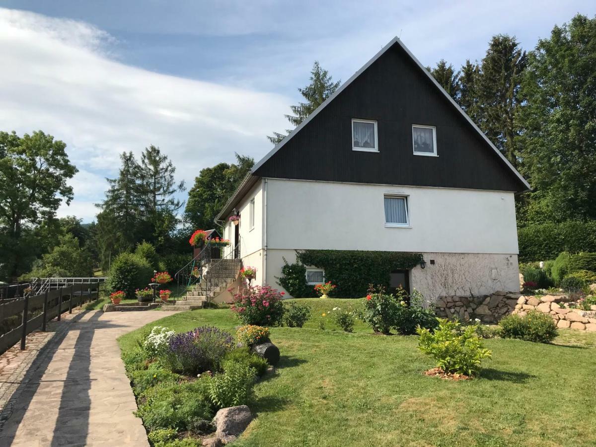 Ferienwohnung Grieser Geising Eksteriør bilde